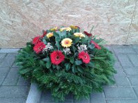 2013-11-18 08.30.45  IICSAUser comments